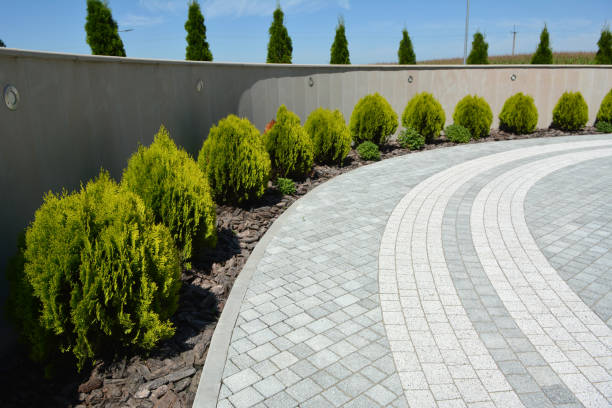 Best Custom Driveway Pavers  in Mountain City, GA